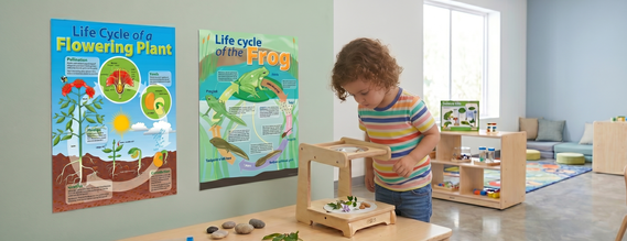 Wall Hangings & Posters image