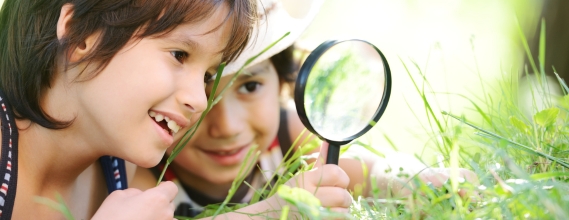 Bush Kinder Programs