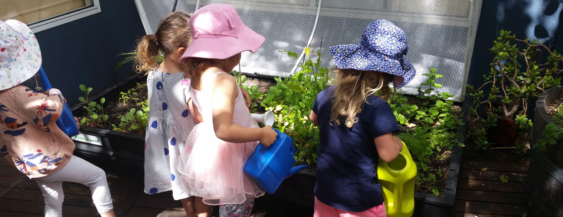 Gardening & Sustainability image