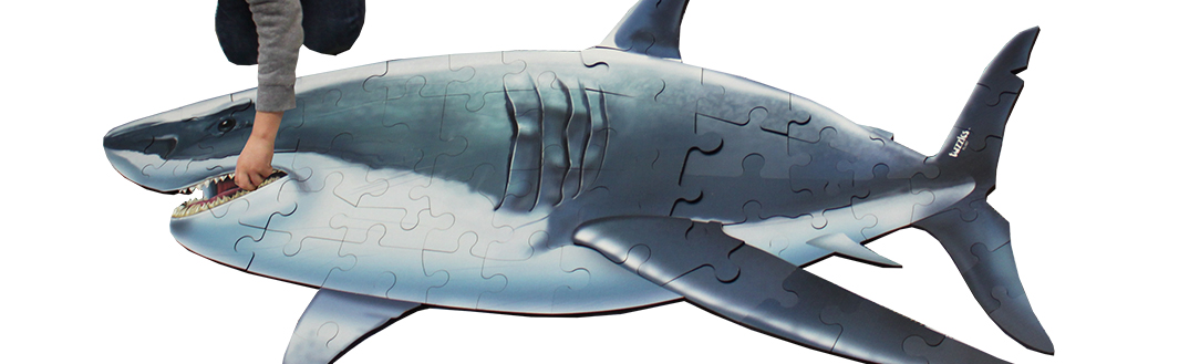 Floor Puzzles image