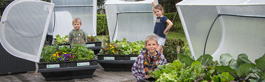 Vegepod Raised Garden Beds image