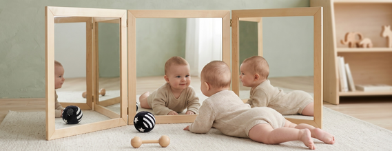 Mirrors image