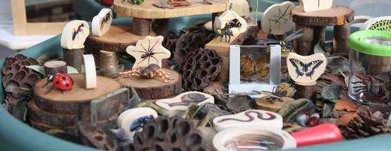 Insect Discovery Tray image