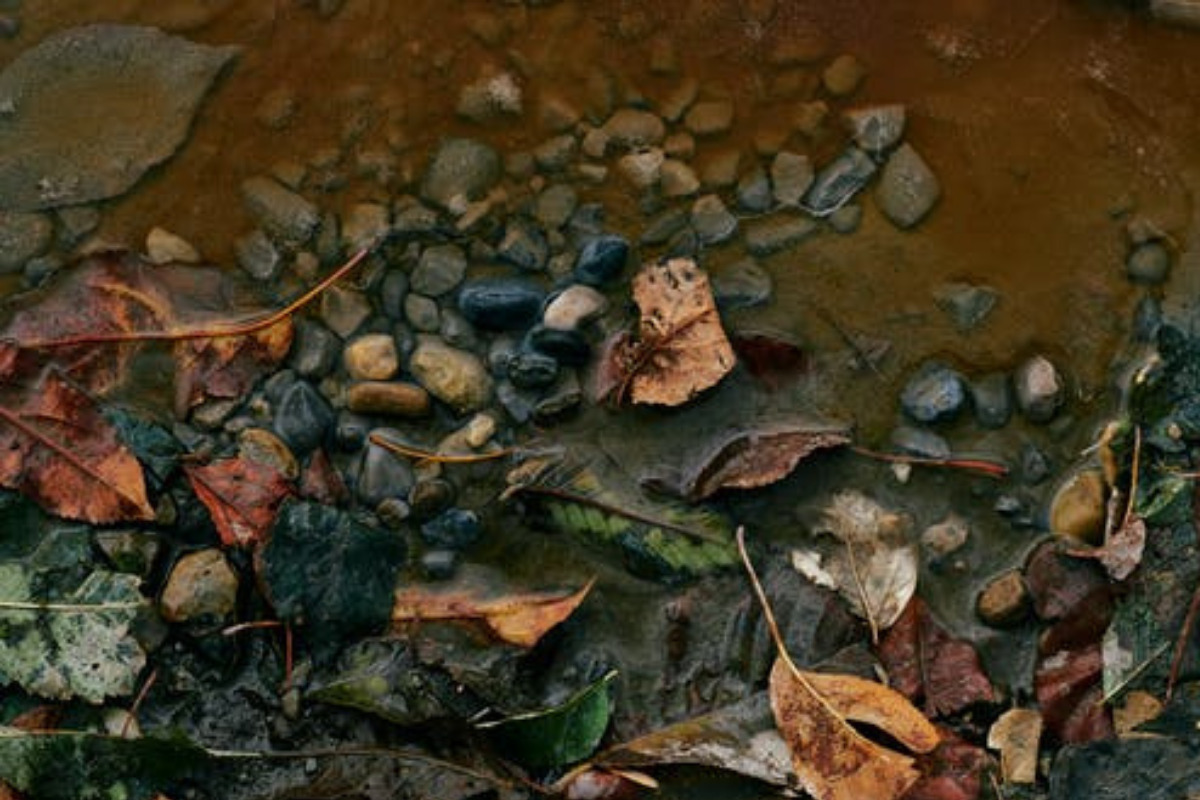 filter image