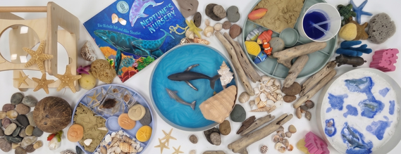 Ocean Wonders image