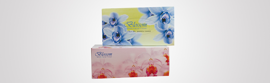 Paper Towels & Tissues image