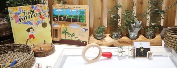 Tiny Wonders image